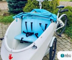 Rower trójkołowy cargo Triobike